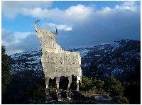 blackbullspain