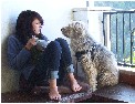 LauravsTheDog